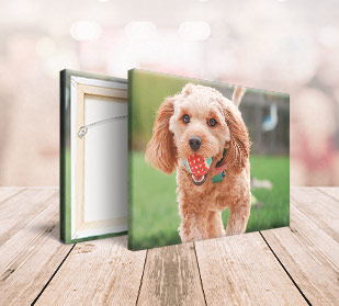Custom Canvas Prints Online